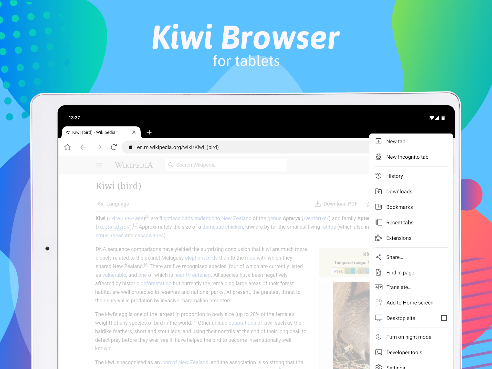 Kiwi浏览器界面